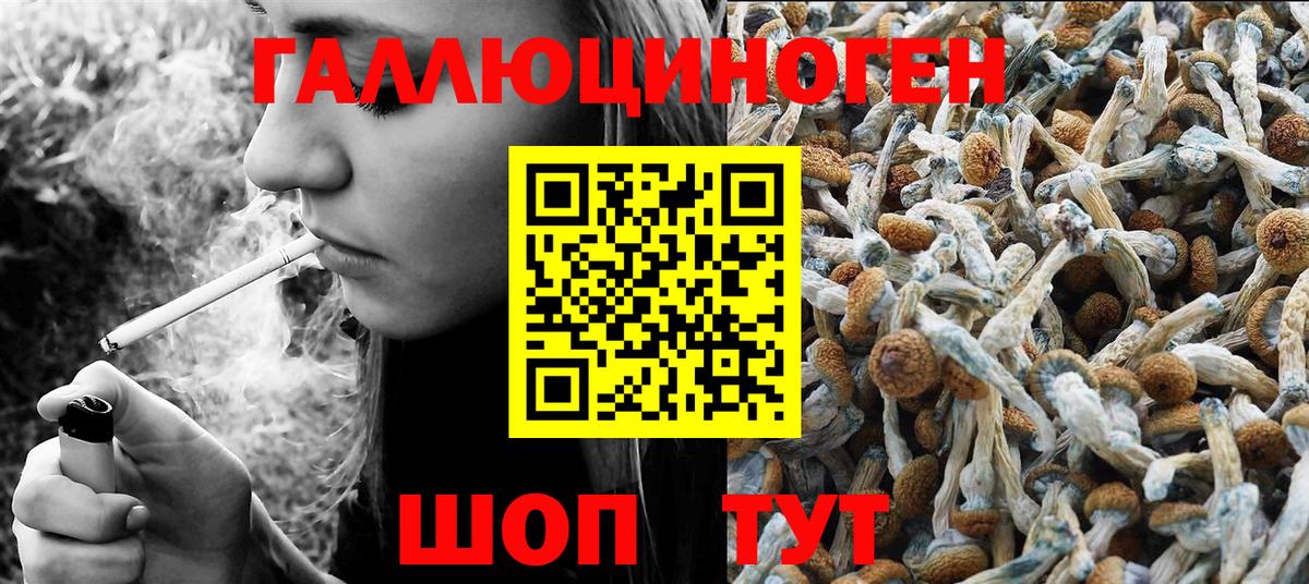 Псилоцибиновые грибы Magic Shrooms  Вход с VPN  Новокубанск  Галлюциногенные грибы Psilocybine cubensis 