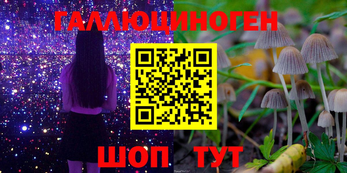 Галлюциногенные грибы прущие грибы Новокубанск